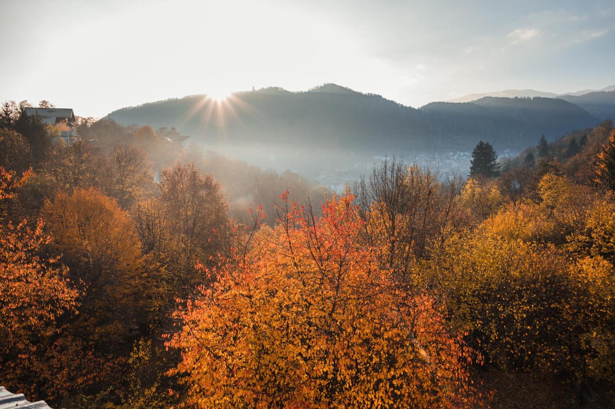 Pensiunea Warthe Bed & Breakfast Brasov Exterior photo