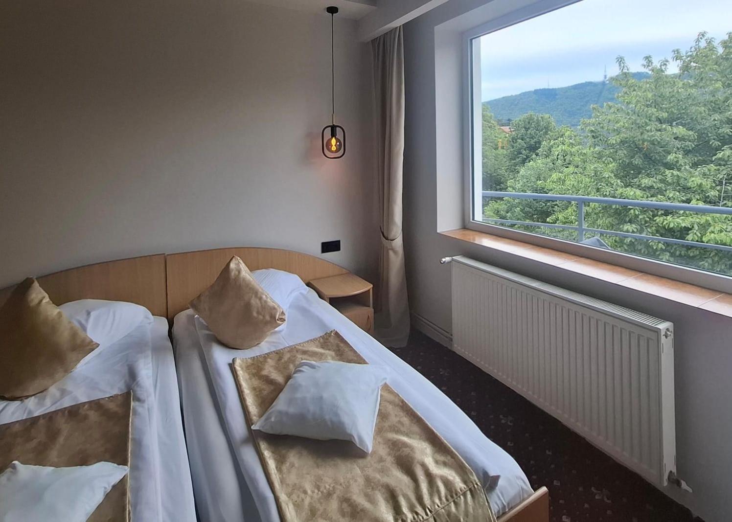Pensiunea Warthe Bed & Breakfast Brasov Exterior photo