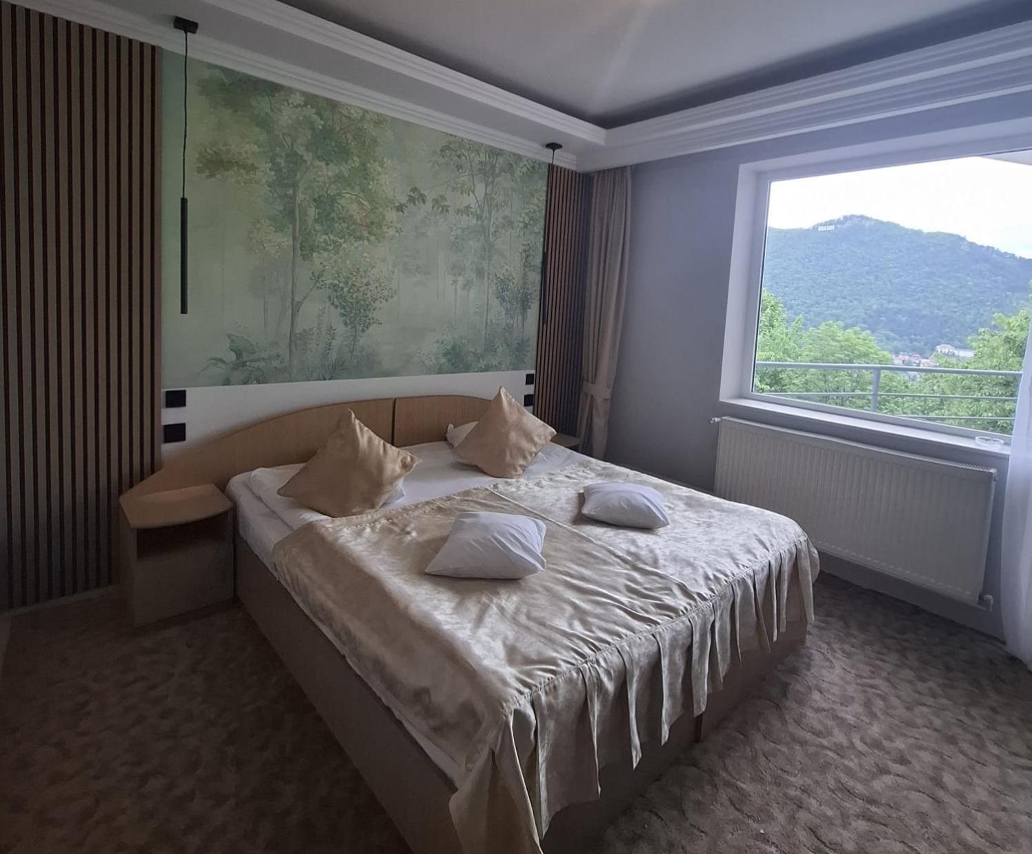 Pensiunea Warthe Bed & Breakfast Brasov Exterior photo