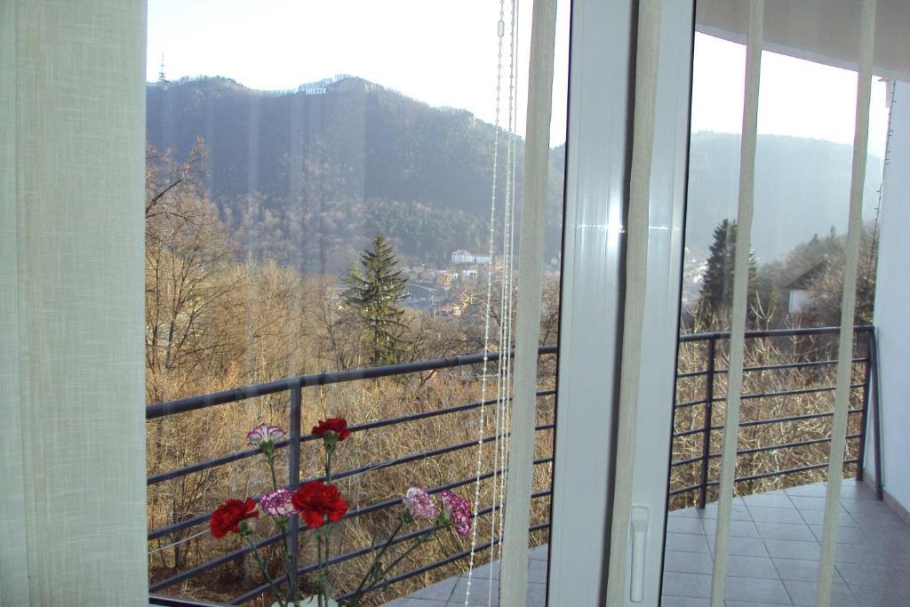 Pensiunea Warthe Bed & Breakfast Brasov Exterior photo