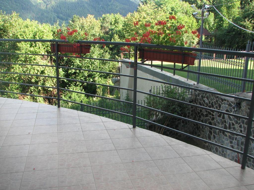 Pensiunea Warthe Bed & Breakfast Brasov Exterior photo