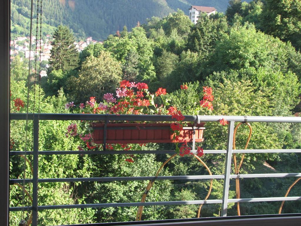 Pensiunea Warthe Bed & Breakfast Brasov Exterior photo