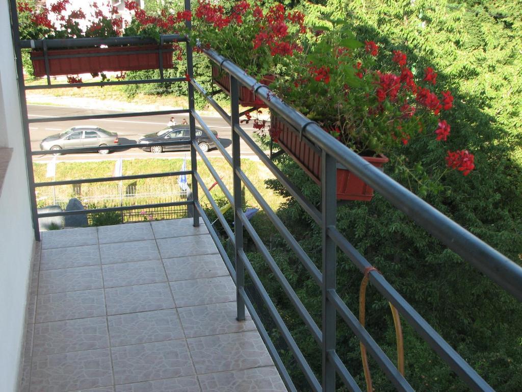 Pensiunea Warthe Bed & Breakfast Brasov Exterior photo