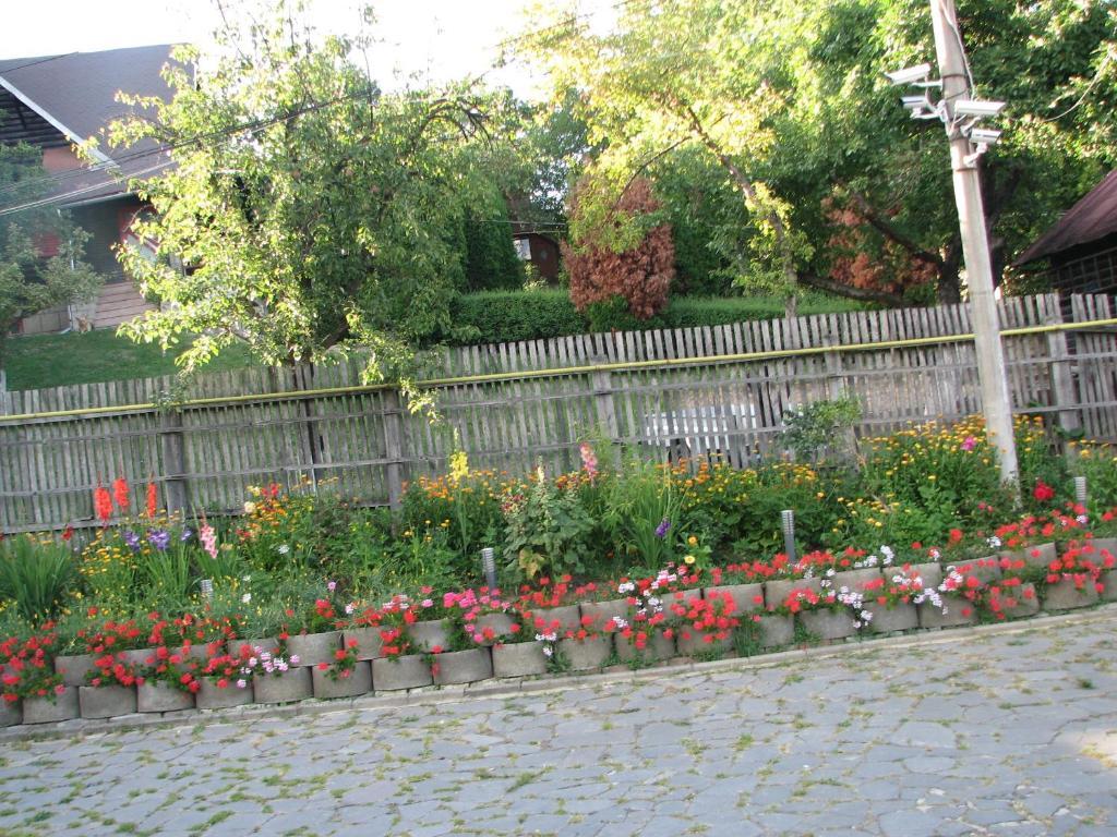Pensiunea Warthe Bed & Breakfast Brasov Exterior photo