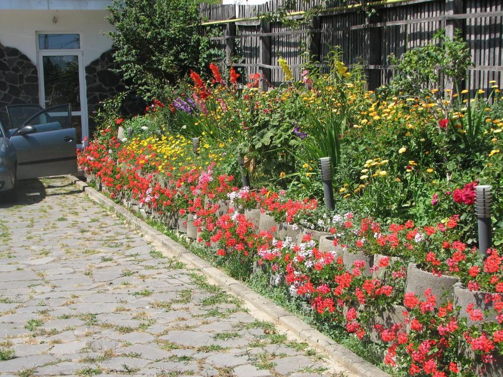 Pensiunea Warthe Bed & Breakfast Brasov Exterior photo