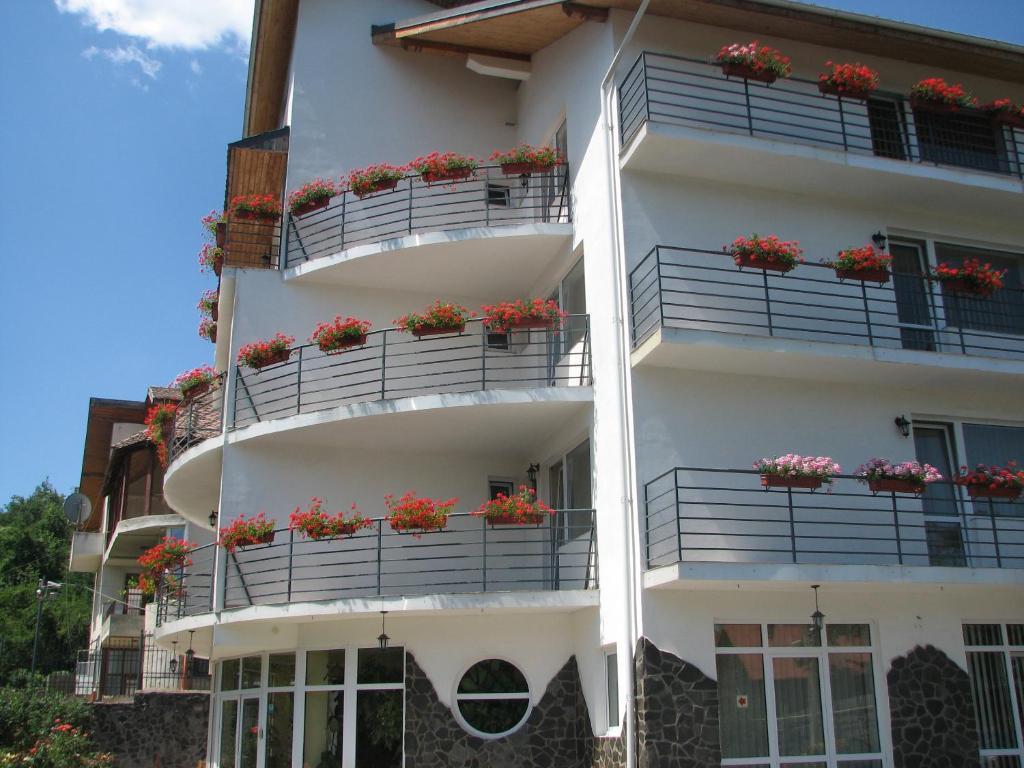 Pensiunea Warthe Bed & Breakfast Brasov Exterior photo